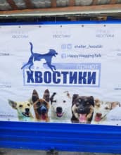 Благотворительная выставка-ярмарка "Новогоднее угощение для Деда Мороза"